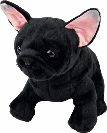 Realistisches Bulldoggen-Aussehen