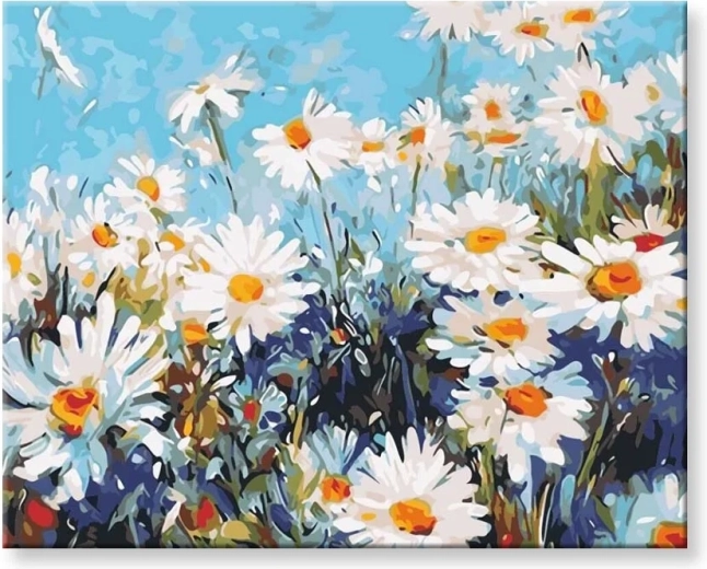Norimpex Malen nach Zahlen Gänseblümchen 40 × 50 cm