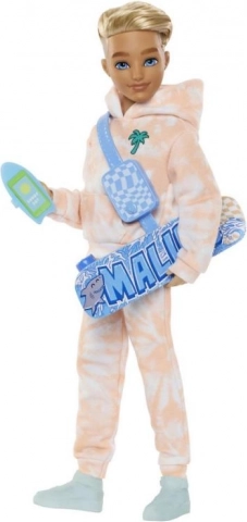 Barbie Dream Besties Ken Puppe mit Skateboard und Zubehör
