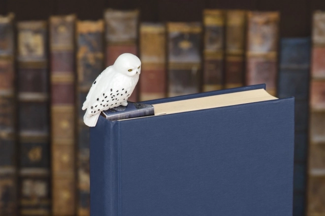 Detaillierte Verarbeitung für Harry-Potter-Fans