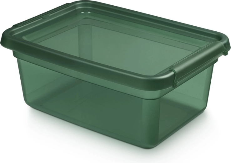 Basestore Aufbewahrungsbox aus Kunststoff mit Deckel und Clips, Pine, 12,5 l