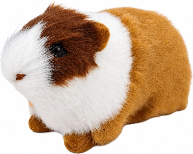 Weiches Fell wie bei einem echten Meerschweinchen