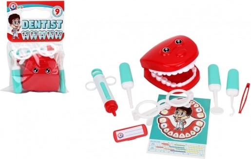 Zahnärztliches Kinderset – plastisches Doktorspielzeug mit Werkzeugen und Kiefermodell