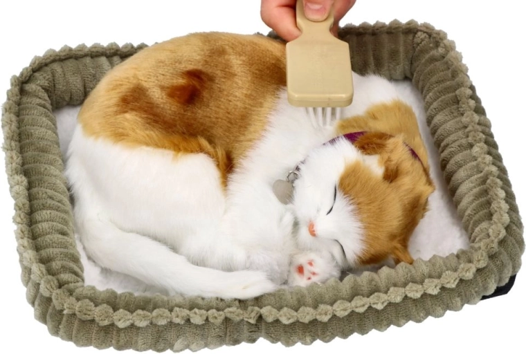 Realistisches Aussehen einer schlafenden Katze