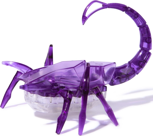 Attraktives transparentes HEXBUG-Design