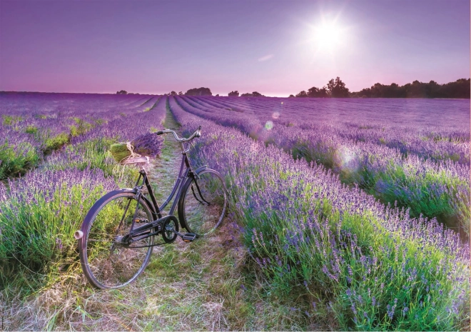 Educa Puzzle Fahrrad im Lavendelfeld 1000 Teile
