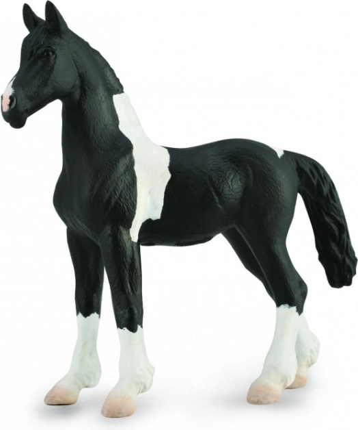 Barockes Pinto-Fohlen