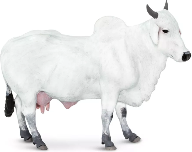 Figur eines Hausrinds (Zebu) Safari Ltd. – 1 Stück