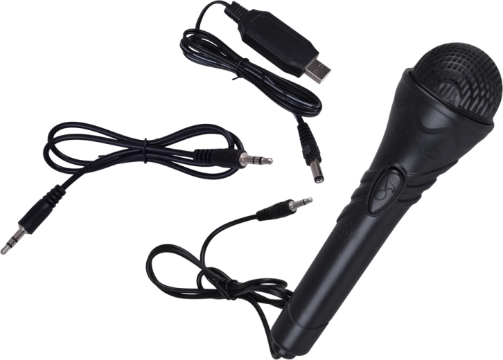 Karaoke und Hauskonzerte