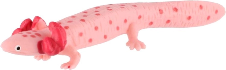 Typisches Aussehen des Axolotls