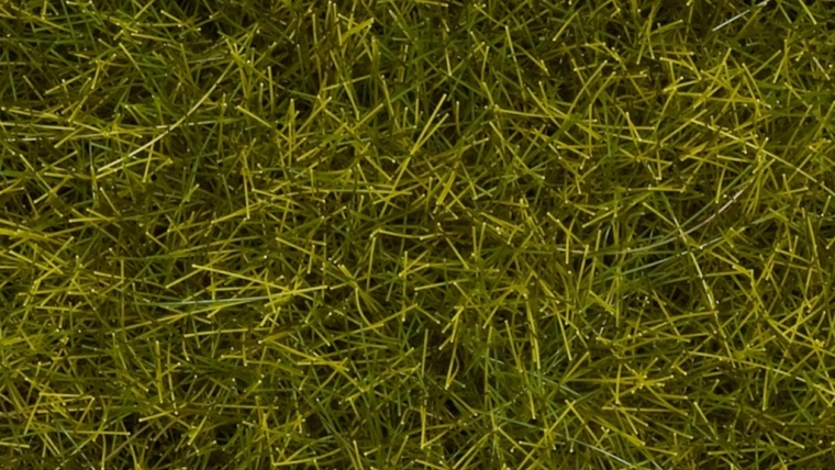 Noch statisches Gras wilde Wiese 12 mm