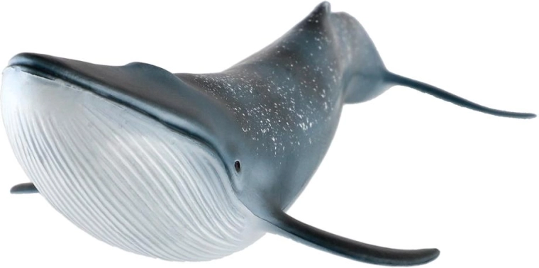 Größe 27 cm