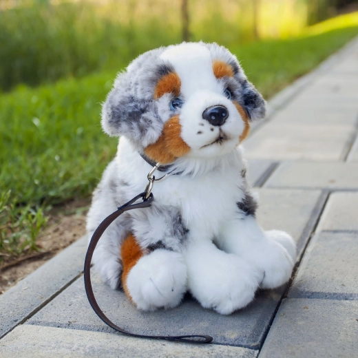 Begleiter zum Kuscheln und Spielen