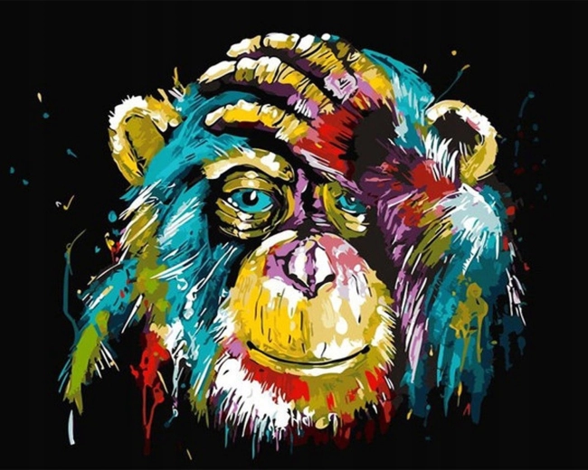 Norimpex Malen nach Zahlen Bunter Affe 40 × 50 cm