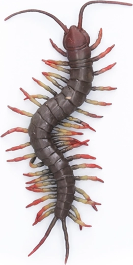 Riesiger Gummihundertfüßer 23 cm