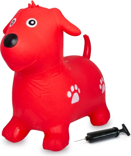 Pumpe im Lieferumfang