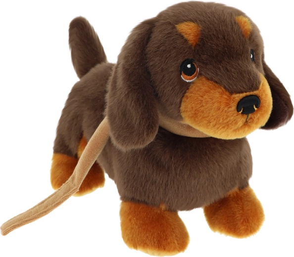 Keeleco Dackelwelpe an der Leine 23 cm