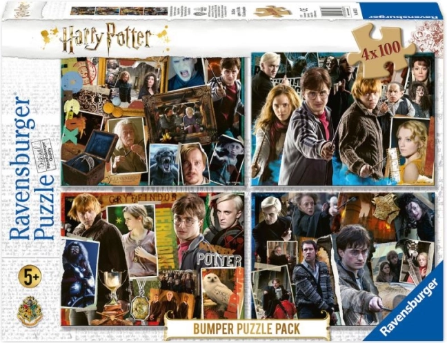 Puzzle 4x100 Teile Harry Potter