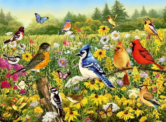 Ravensburger Puzzle Vogelwiese 500 Teile