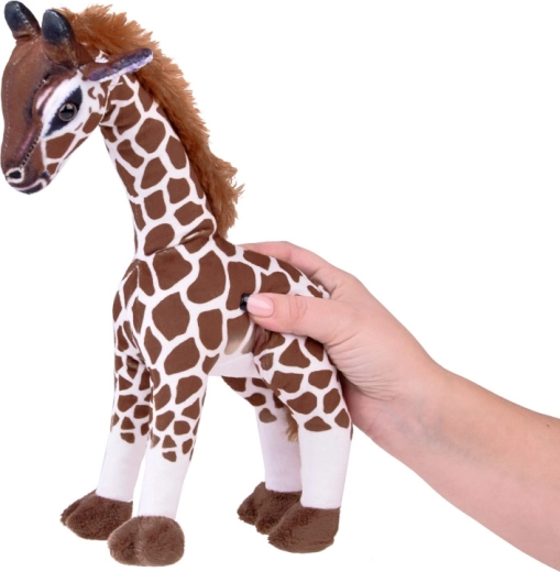 Stabiler Stand zum Spielen und Dekorieren