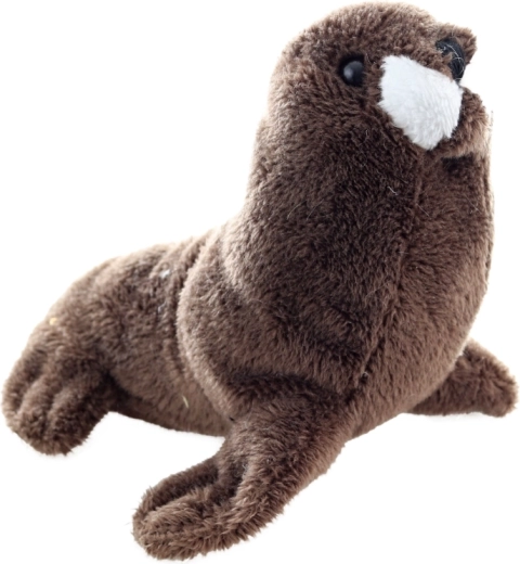 Ideale Größe 13 cm