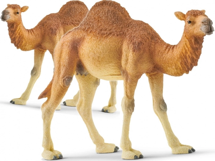 Schleich Dromedar – Wild Life Figur
