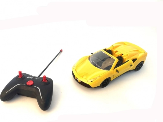 RC Sportwagen im Maßstab 1:18