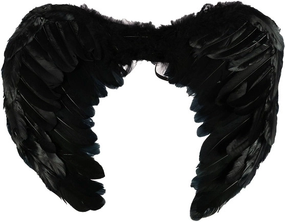 Schwarze Flügel für Halloween