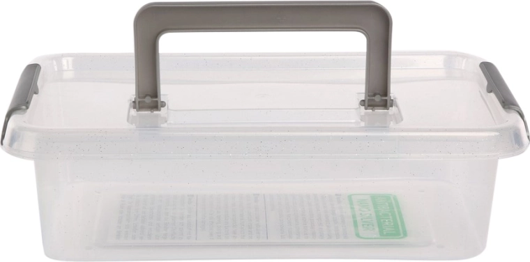 Antibakterielle Aufbewahrungsbox mit Deckel und Griff 3,1 l (29 × 20 × 8 cm)