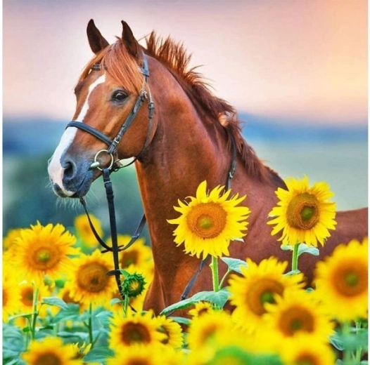 Diamantmalerei (Diamond Painting) Pferd in Sonnenblumen 30 × 30 cm
