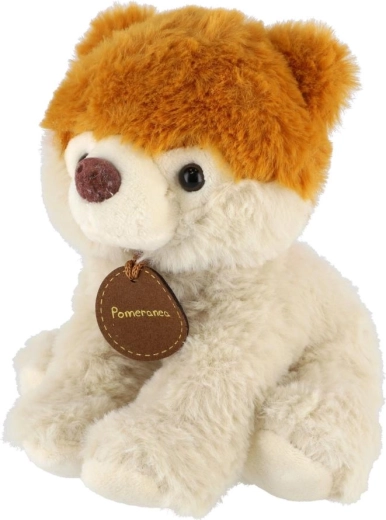 Vielseitiger Mix in einer Packung mit 10 Stück