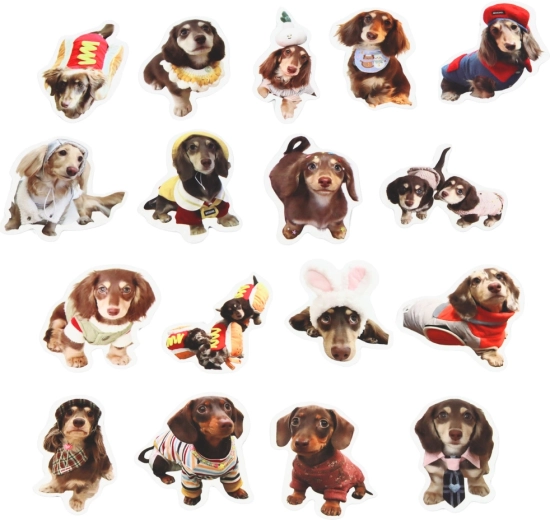 Idealgröße 5 cm zum Dekorieren