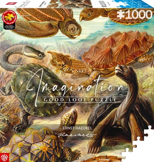 GOOD LOOT Puzzle Imagination: Ernst Haeckel – Meeresschildkröten, 1000 Teile