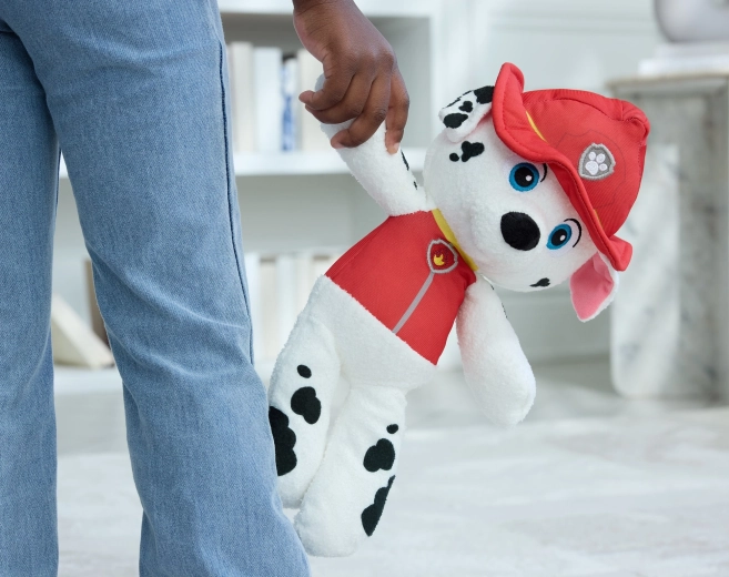 Für kleine Paw-Patrol-Fans