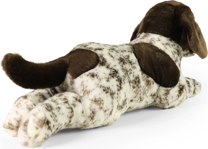 Ab der Geburt sicher