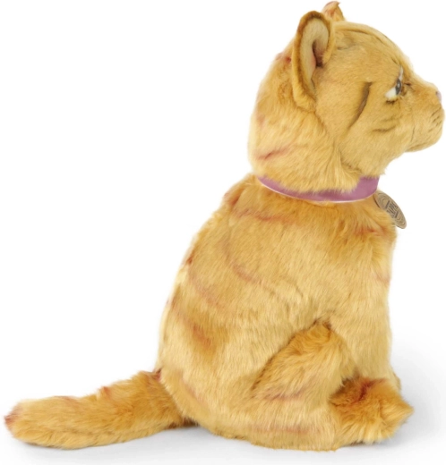 Niedliche sitzende getigerte Katze
