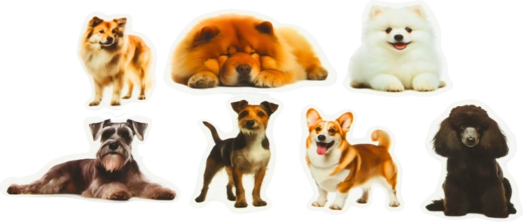 Transparenter Hintergrund für einen sauberen Look