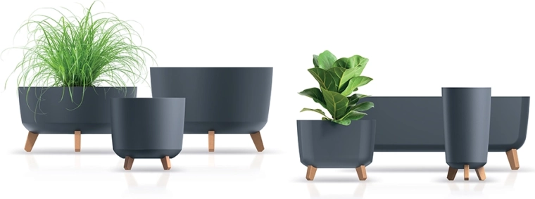 Bessere Bedingungen für die Wurzeln