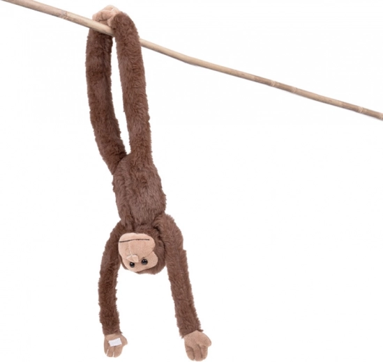 Realistische Ausführung aus der ZOO Collection