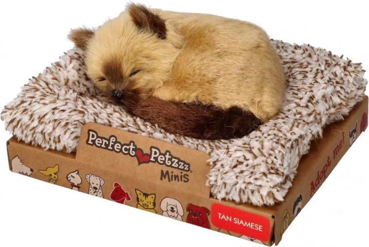 Perfect Petzzz kleines Siamkätzchen