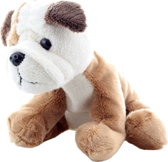 Sicher für die Kleinsten (0+)