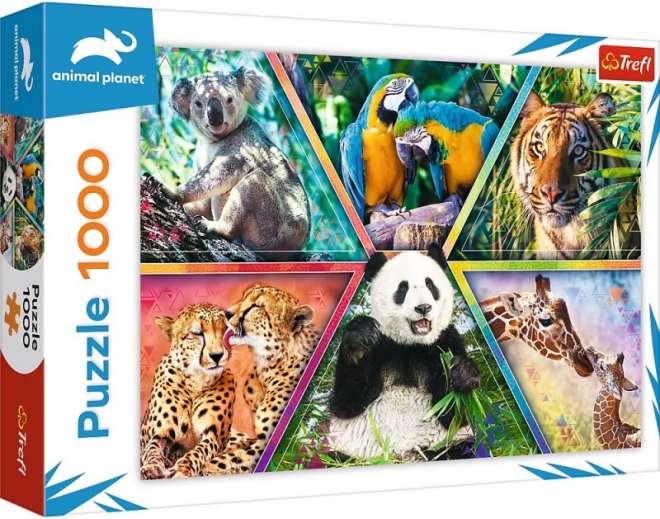Puzzle mit 1000 Teilen – Tierreich ANIMAL PLANET