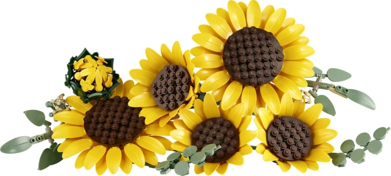 Sechs Sonnenblumen für einen üppigen Strauß