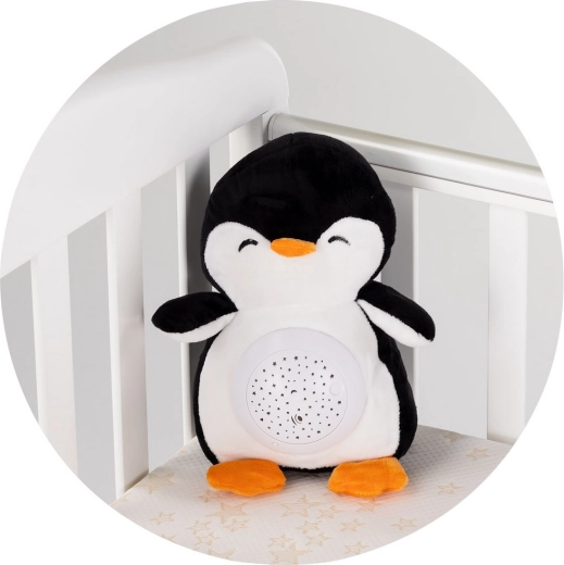 Einfache Pflege dank herausnehmbarem Modul