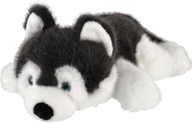 Typisches Husky-Aussehen