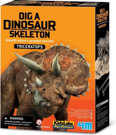 Wissenschaftliches Ausgrabungsset – Triceratops
