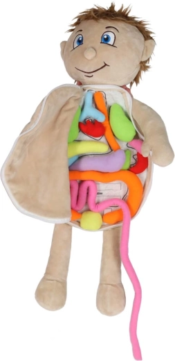 Herausnehmbare weiche Organe mit Klettverschluss