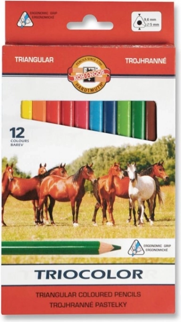 Dreikant-Buntstifte TRIOCOLOR 12 Stk.