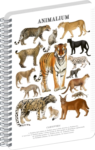 Notique Spiralblock Animalium – Katzenartige Raubtiere, A5, kariert
