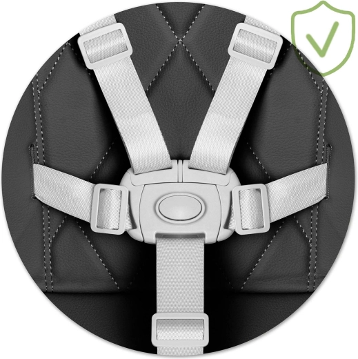 Maximale Sicherheit dank 5-Punkt-Gurten